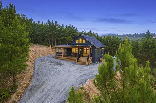 New!Pine Cone Cabin-Charming LUXURY1BedCabin that sleeps 4 surrounded by Pines - Chalets