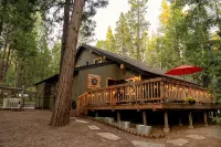 Arnold’s Cozy Cabin  – Rustic-Modern Retreat Near Big Trees & Bear Valley
