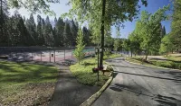 Black Bear Den ~ Access to Private Lake! Heat and AC