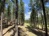 Golden Summers Cabin WIFI, Close to Lake Pactola - Hytter