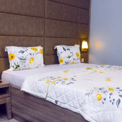 Hôtel Ô Balkan Hotels near Akodessewa Fetish Market