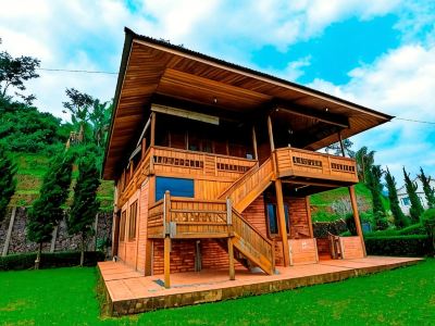 The Anty Resort