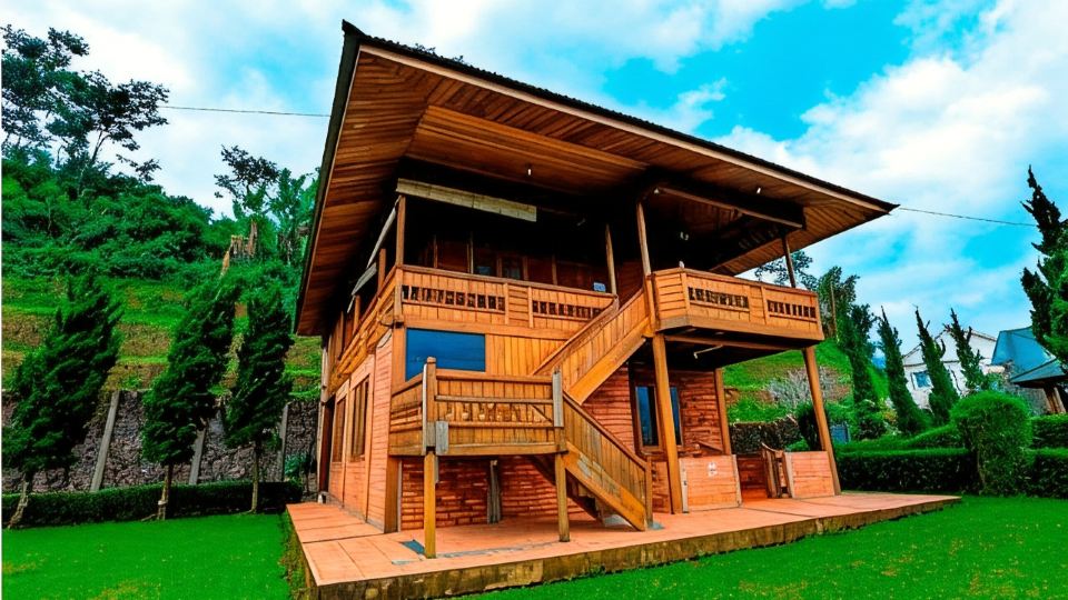 The Anty Resort