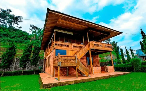 The Anty Resort