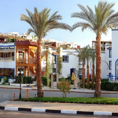 Falcon Naama Star Hotel Отели рядом с достопримечательностью «Торговый центр Genena City»
