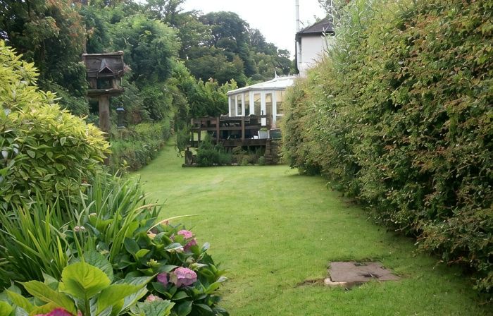 Frogwell