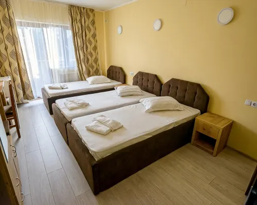 Casa Domneasca Riana Hotels in Pitești