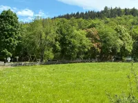 Quiet vacation apartment right by the forest - 公寓
