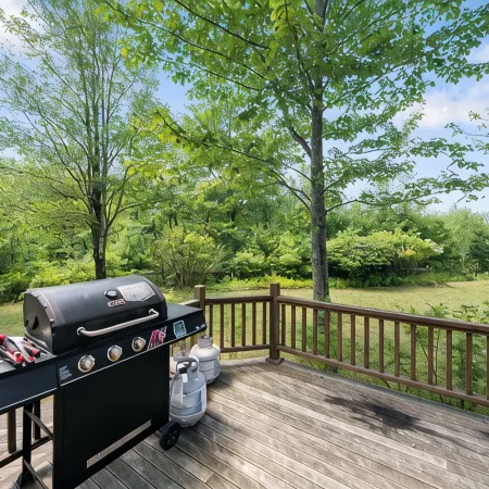 70 Private Acres+Sleeps 12+Fire Pit+Pet Friendly