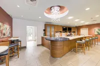 SpringHill Suites Houston the Woodlands - bar