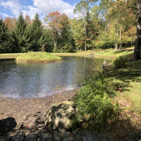 A perfect, quiet baseball rental in the woods near Cooperstown, NY