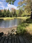 A perfect, quiet baseball rental in the woods near Cooperstown, NY - Wifi