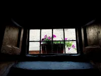 Apartment Me and You Cortona (with romantic outdoor shower on private courtyard) - Kuntosalit