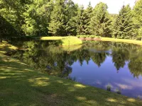 A perfect, quiet baseball rental in the woods near Cooperstown, NY - Wifi
