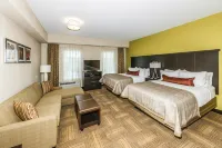 Staybridge Suites KNOXVILLE-WEST by IHG - Pet friendly