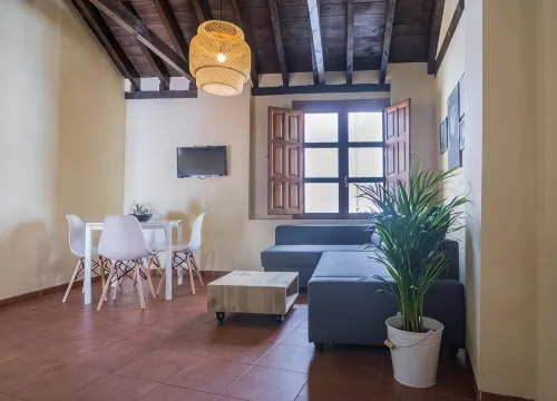 Apartamentos Nahira Suites 3000 - Pet-friendly
