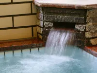 Chalet la Neige - Spa