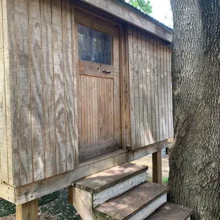 Historic 1904 Home w/Granite Kitchen, Fireplace, Treehouse! Near ATX/San Antonio