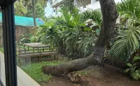 Beach villa Mandrem ocean with Seaview - 4-Star