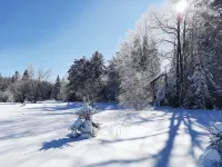 Tamarack Cottage Welcomes You ! STR # 200283 - Country Houses