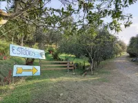 Bhoga Forest Orosi - Hot Springs