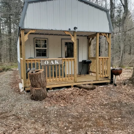 Cozy Northwoods Mini Cabin..... SAUNA/HOT TUB ATV/SNOWMOBILE TRAILS Hotels in Forest County
