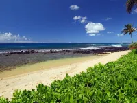 Great Rates Private 4 Br Luxury Home in Poipu - Baby Beach Sleeps 10 Tvnc#1194 - 비치