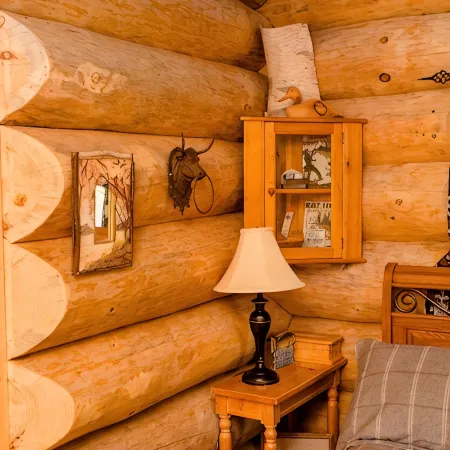 Handcrafted Riverfront Cabin on 10 acres