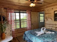 The Romantic LOVE NEST mountain Log Cabin w/ Lake view-5 minutes from the beach! - Alppimaja