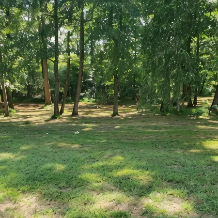 Pleasant Grove Tiny Home!