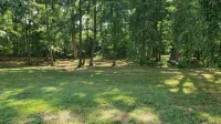 Pleasant Grove Tiny Home! - Homestays