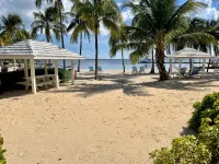 "Mai Kai" Recently renovated Oceanfront Ground Floor Condo - Kaibo Yacht Club II - Beach