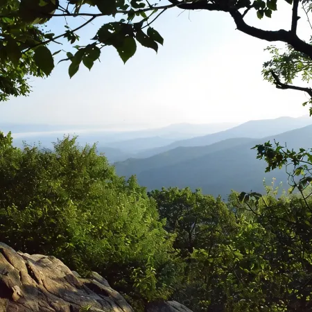 Travelers' Rest--Your Wintergreen Retreat in the Center of it All!