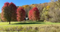Cabin in Beautiful Timber Coulee - Chalets