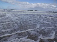Baltic Sea wind at the edge of the forest - 3-Star
