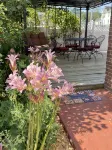 Charming,Cozy, Cottage - French Lick Quarters - Walk Casino/Resort, Pubs, Etc - Wifi