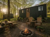 Holt Woodland Glamping - Shepherd Huts & Yurts Dog Friendly - 2-Star