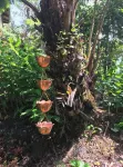 Lazy Lehua Cottage - Boutique