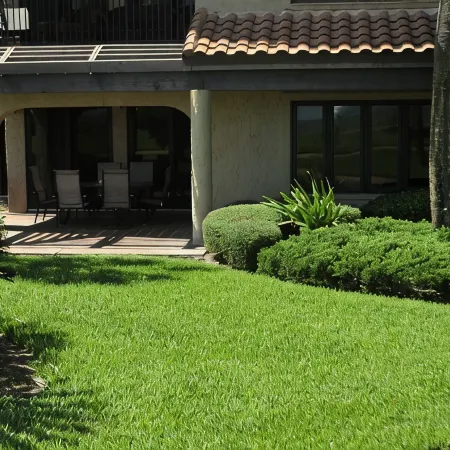 Amelia Island Ocean Front Ground Floor Condo- Construction Discount-Ends 10/1