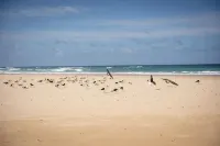 Oyster Bay Lodge - Beach