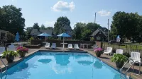 Bourbon Capital Inn - Pools