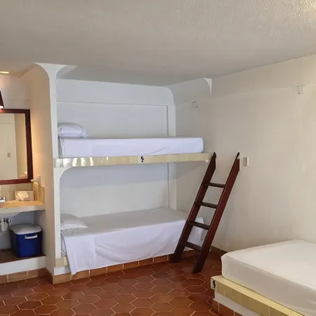 Safari Inn