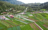 Dieng Luxury Camp By Travelink - Lodges