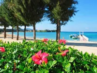 Okinawa Kariyushi Resort EXES Onna - فاخر