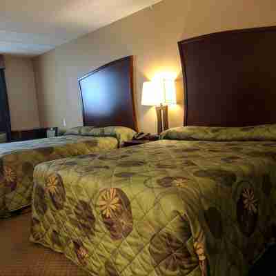 Luxury Inn Rooms