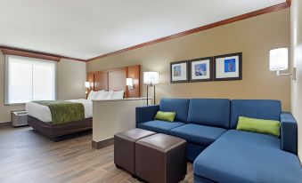 Comfort Suites West Monroe Near Ike Hamilton Expo Center