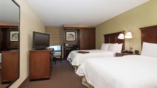 Hampton Inn Indianapolis-N.E./Castleton