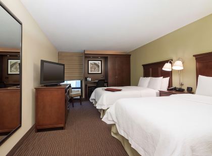 Hampton Inn Indianapolis-N.E./Castleton