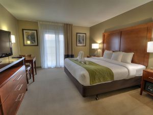 Comfort Inn & Suites at Dollywood Lane