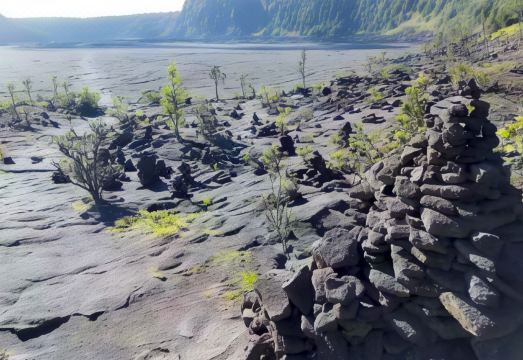 Volcano Forest Inn Hotel Overview